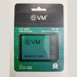 EVM SSD 256GB